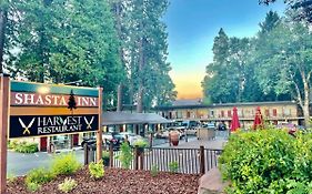 Shasta Inn
