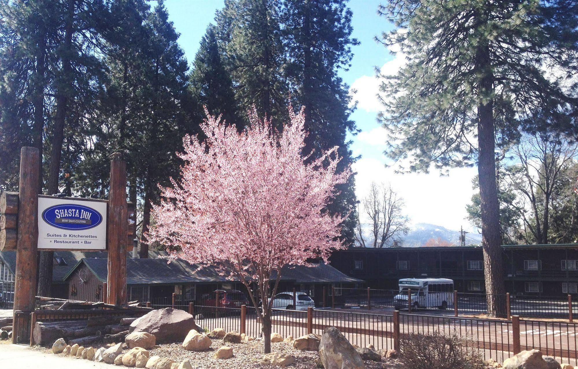 Shasta Inn Mount Shasta Exterior photo